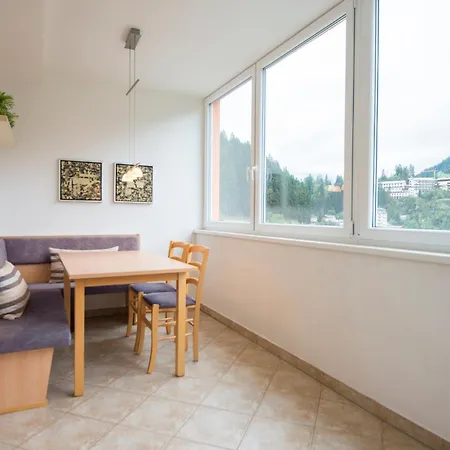 Panorama Dasschiller Medium Appartement *